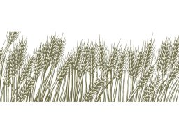 wheat field woodcut